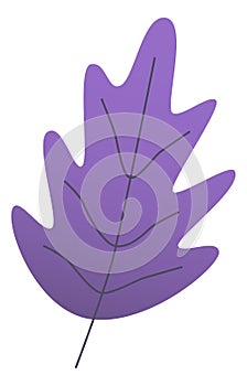 Purple leaf icon. Decorative botany. Plant foliage