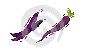 Purple Legume Pod and Parsnip Root Vector Set