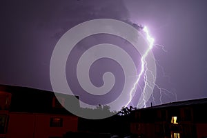 Purple Lightning