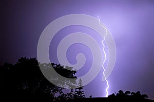 Purple lightning bolt in the cloudy night sky with trees