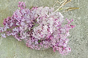 Purple lilac flower bouquet on marble table