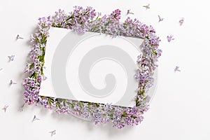 Purple lilac flower frame and empty sheet of paper template on white background with copy space for text. Top view minimal