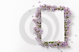 Purple lilac flower frame and empty sheet of paper template on white background with copy space for text. Top view minimal