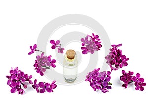 Purple lilac flowers and bottle of oil isolated on white background