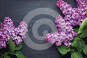 Purple lilac flowers on wooden table.