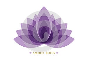 Purple Lotus, Flower of Life. Sacred Geometry. Symbol of Harmony and Balance. Sign of purity. Flower logo design vector isolated