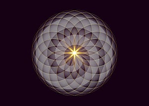 Purple Lotus, Flower of Life. Sacred Geometry. Symbol of Harmony and Balance. Sign of purity. Violet Flower gold shiny logo design photo