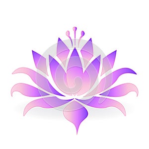 Purple lotus flower logo