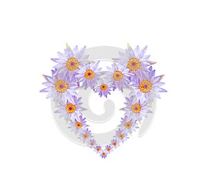 Purple lotus flower or water lily flowers shaped heart .