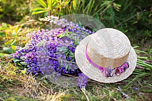 Purple lupine flowers covered with straw hat in field. Hat  near a bouquet of lupine flowers on morning grass. Concept summer picn