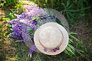 Purple lupine flowers covered with straw hat in field. Hat  near a bouquet of lupine flowers on morning grass. Concept summer picn
