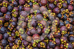 Purple mangosteens on a market, Philippines