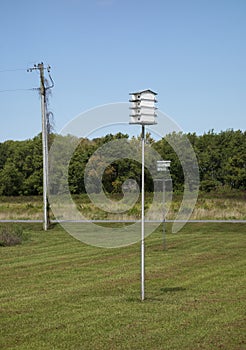 Purple Martin Birdhouses