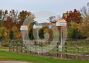 Purple martin birdhouses along a fence