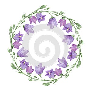 Purple meadow flowers of  bluebell  wreath, watercolor hand drawn botanical sum