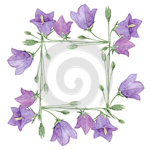 Púrpura prado flores de campana guirnalda acuarela pintado a mano botánico suma 