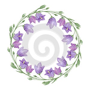 Púrpura prado flores de campana guirnalda acuarela pintado a mano botánico suma 
