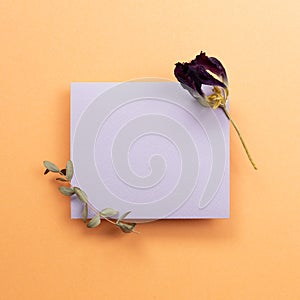 Purple memo pad with dry flower on orange background