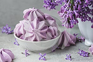 Purple meringue cookies with lilac flowers in vase on concrete background. still life. vintage toning