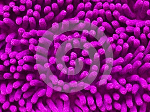 Purple microfiber