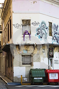 Purple monkey hanging out of a window