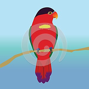 Purple-naped lory vector illustration on a blue background