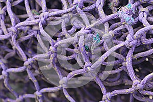 Purple nylon fishing net