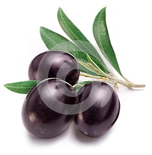Purple olives with leaves on white background. Close-up