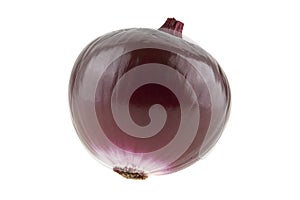 Purple onion isolated on white