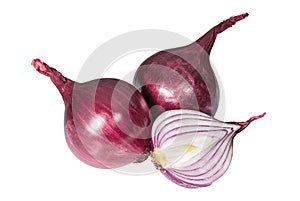 Purple onion on white background