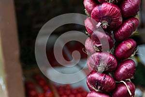 Purple onions hang in a bunch in a street vegetable shop or farmer market against the background of a showcase with ripe tomatoes