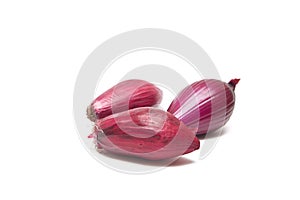 Purple onions isolated on white