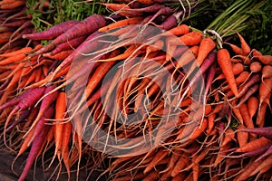 Purple and Orange Carrots