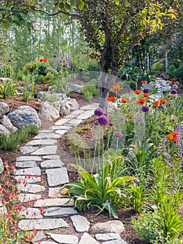 Purple and orange flowers on a path through the Yampa River Botanic Park