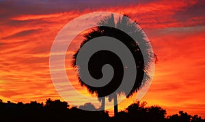 Purple/Orange Sunset