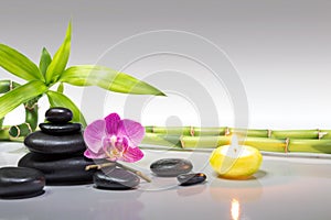 Purple orchid, candle, with bamboo and black stones - gray background