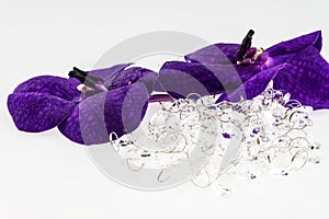 Purple orchid flower with crystal isolated on white