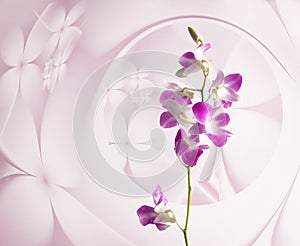 Purple orchid flowers on pink floral background