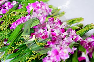 Purple orchid flowers at a Thai temple