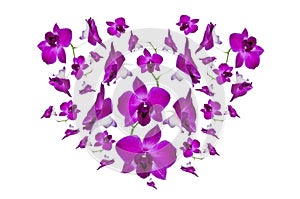 Purple orchid heart