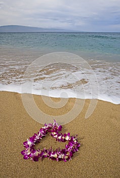 Purple orchid lei on beach
