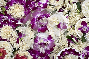 Purple Orchid Offerings photo
