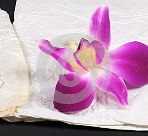 Purple orchid on stained crumple paper. Romantic element.