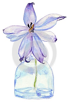 Purple Orchid in a Vase Watercolor Illustration