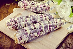 Purple organic corn on cob on wooden background