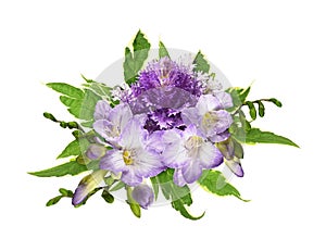 Purple ornamental kale and freesia flowers with green decorative leaves in a floral arrangement isolated