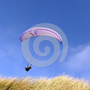 Purple paraglider photo