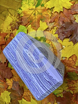 purple parallelogram on the background of autumn maple leaves