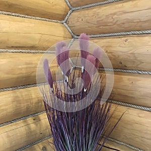 purple parting on the background of the wooden