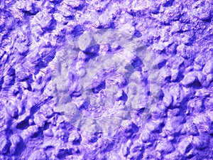 Purple Patterns